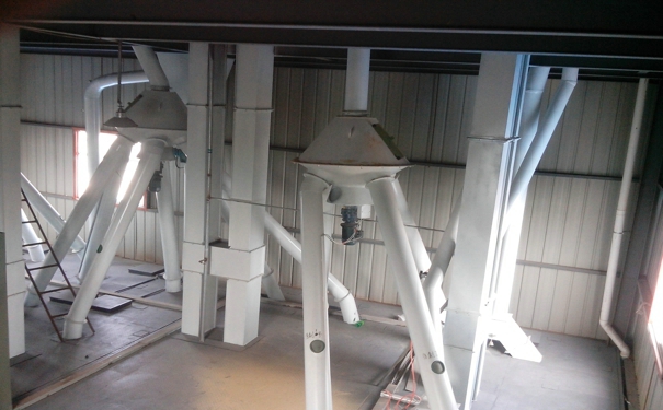 飼料生產(chǎn)設(shè)備能為動物的健康成長提供有力保障